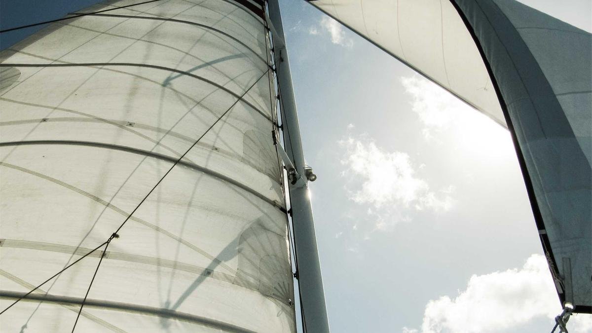 Energy Efficiency at Home: Save Money and the Planet
